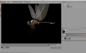 Screenshot 2015-08-27 12.37.41